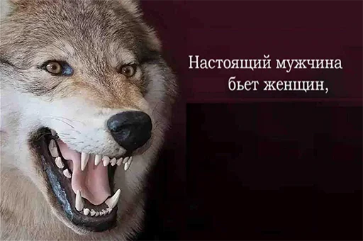 😴 Стикер «Be a wolf» для Telegram
