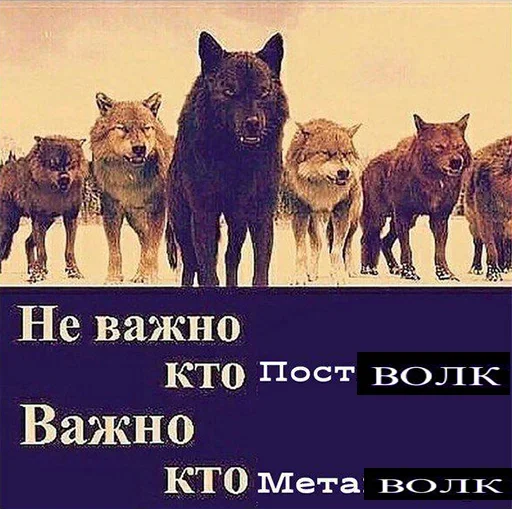 😑 Стикер «Be a wolf» для Telegram