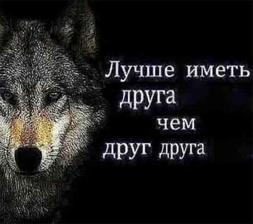 🤔 Стикер «Be a wolf» для Telegram