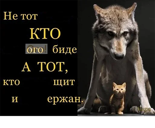 😬 Стикер «Be a wolf» для Telegram