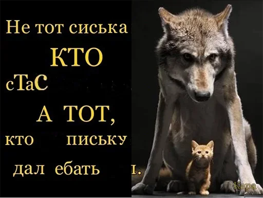🤭 Стикер «Be a wolf» для Telegram