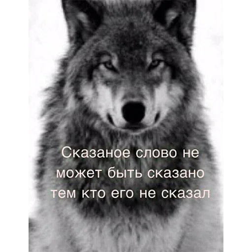 🤔 Стикер «Be a wolf» для Telegram