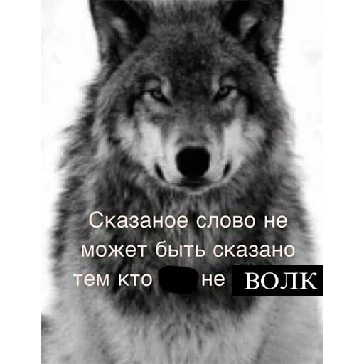 🙄 Стикер «Be a wolf» для Telegram