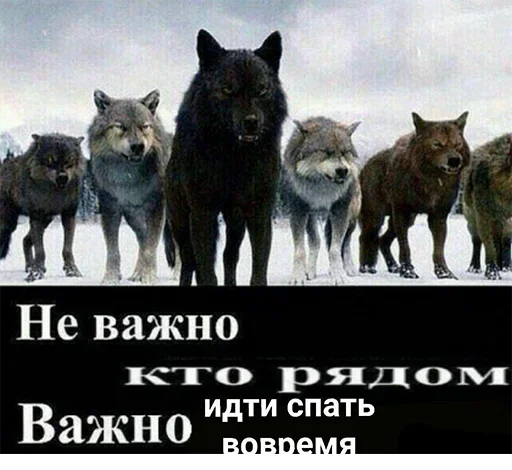 🙄 Стикер «Be a wolf» для Telegram