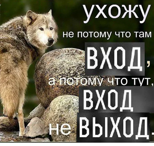 😲 Стикер «Be a wolf» для Telegram