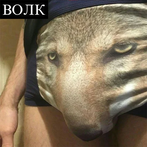 Стикерпак Be a wolf для Telegram