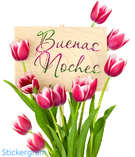 🌷 Стикер «Buenos días/noches» для Telegram