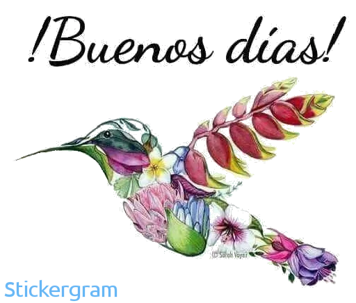 ☀️ Стикер «Buenos días/noches» для Telegram