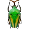 Стикер 22 Bugs And Stuff