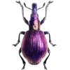 Стикер 44 Bugs And Stuff