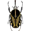 Стикер 59 Bugs And Stuff