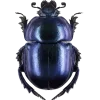 Стикер 38 Bugs And Stuff