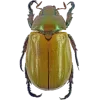 Стикер 11 Bugs And Stuff