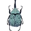Стикер 29 Bugs And Stuff