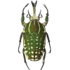 Стикер 20 Bugs And Stuff