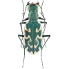 Стикер 49 Bugs And Stuff