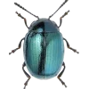 Стикер 30 Bugs And Stuff