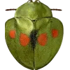 Стикер 15 Bugs And Stuff