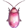 Стикер 46 Bugs And Stuff