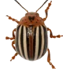Стикер 3 Bugs And Stuff