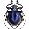 Стикер 39 Bugs And Stuff