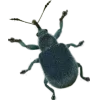 Стикер 32 Bugs And Stuff