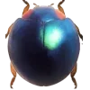 Стикер 37 Bugs And Stuff