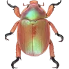 Стикер 2 Bugs And Stuff