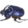 Стикер 40 Bugs And Stuff