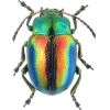 Стикер 16 Bugs And Stuff