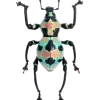 Стикер 50 Bugs And Stuff