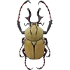 Стикер 61 Bugs And Stuff