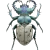 Стикер 27 Bugs And Stuff