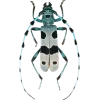 Стикер 48 Bugs And Stuff