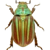 Стикер 12 Bugs And Stuff