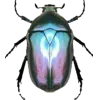 Стикер 34 Bugs And Stuff