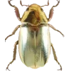 Стикер 8 Bugs And Stuff