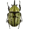 Стикер 21 Bugs And Stuff
