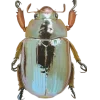Стикер 9 Bugs And Stuff