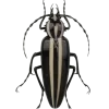 Стикер 58 Bugs And Stuff