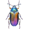 Стикер 35 Bugs And Stuff