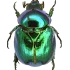 Стикер 23 Bugs And Stuff