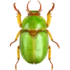 Стикер 18 Bugs And Stuff