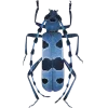 Стикер 47 Bugs And Stuff