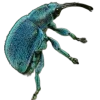 Стикер 31 Bugs And Stuff