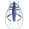 Стикер 42 Bugs And Stuff