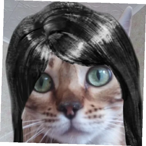 😽 Стикер «Бухой Зайчик» для Telegram