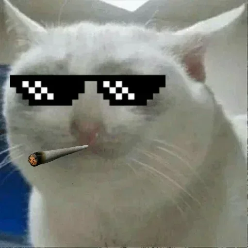 😎 Стикер «Bullshit» для Telegram