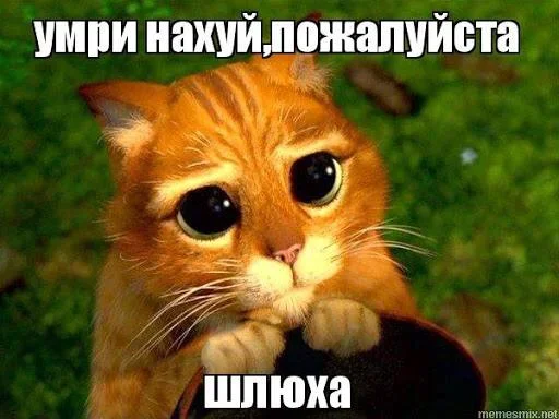 🥺 Стикер «bulyanice» для Telegram