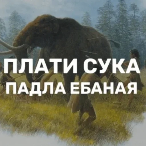 😡 Стикер «bulyanice» для Telegram